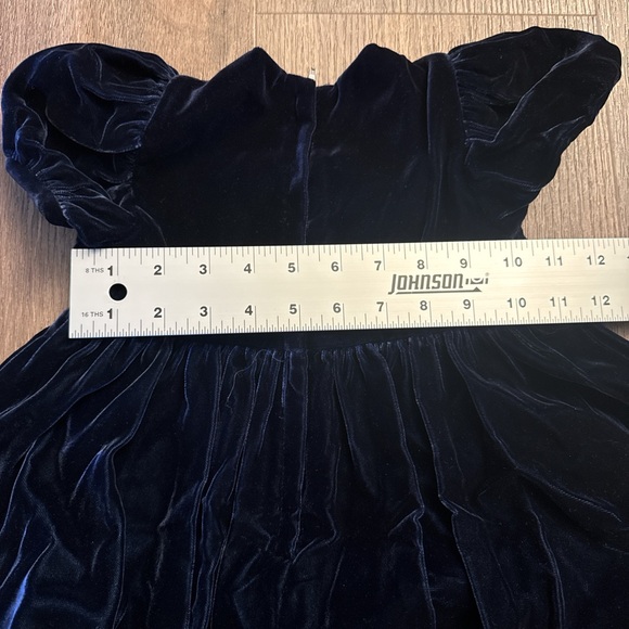 Vintage Bernadette’s biscotti size 4 Elegant Velvet Dress with Floral Detail - Picture 6 of 7